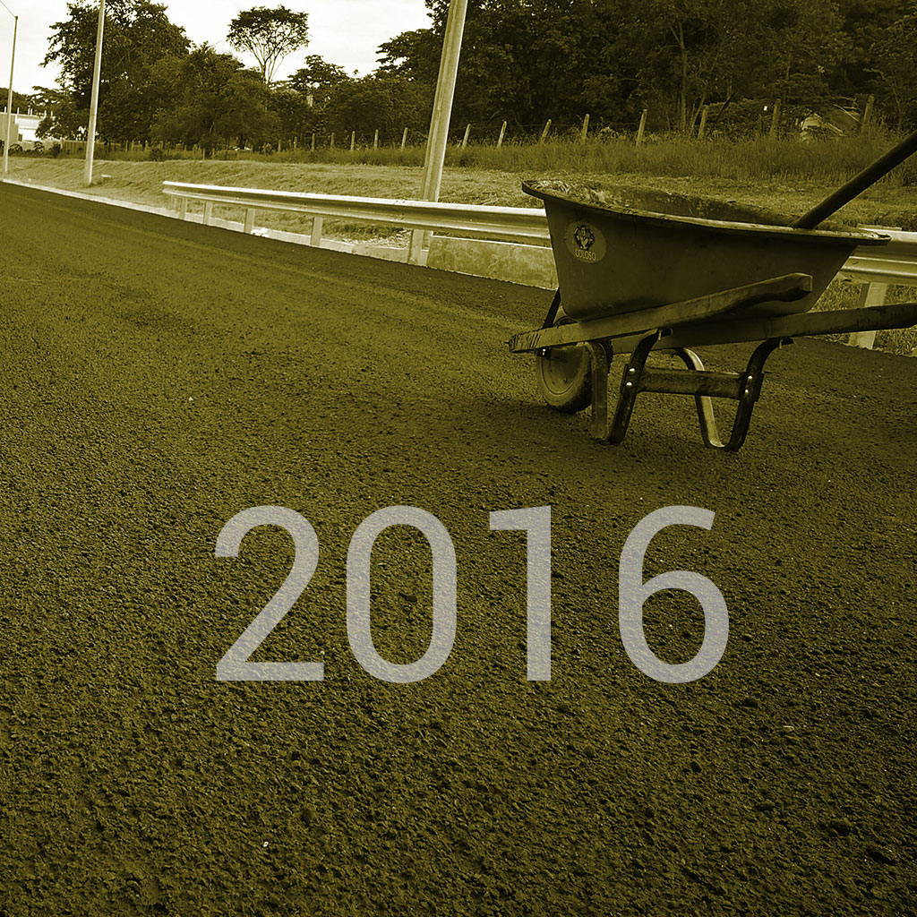 Consultation and site assessment